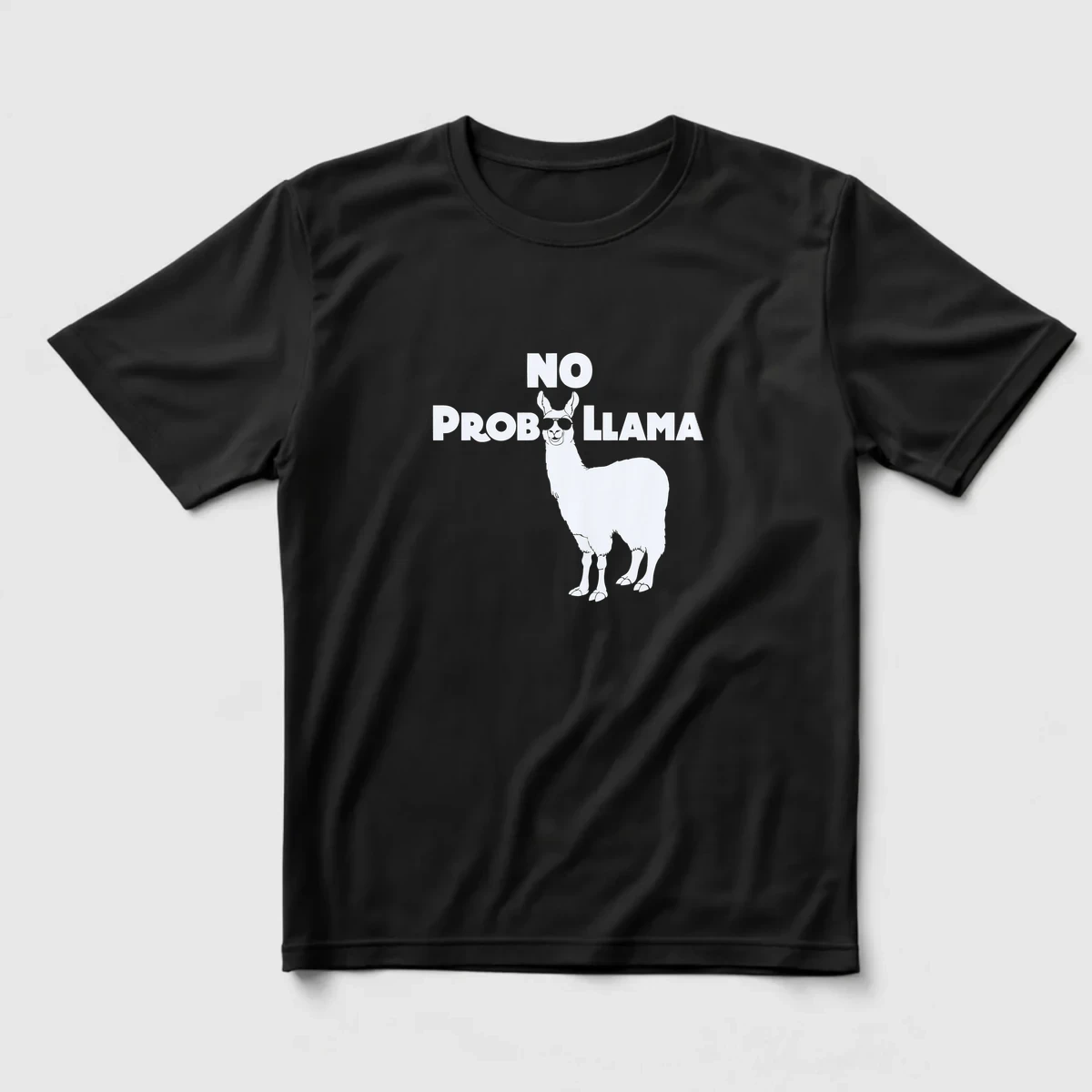 No Probllama önizleme