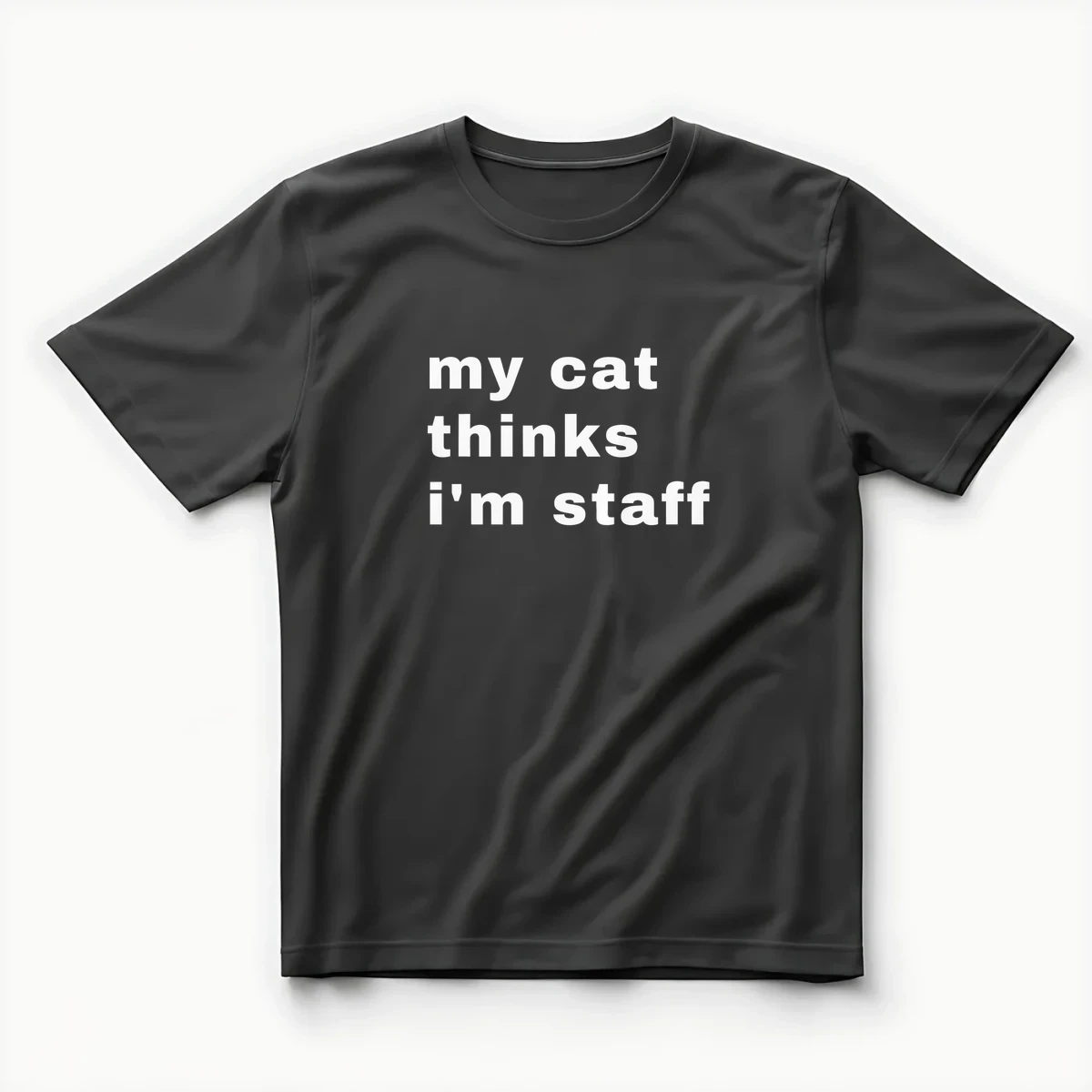 My Cat Thinks I’m Staff önizleme