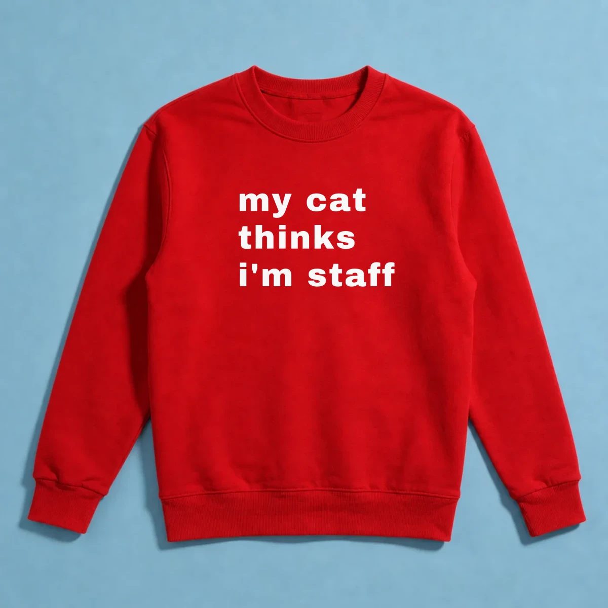 My Cat Thinks I’m Staff önizleme